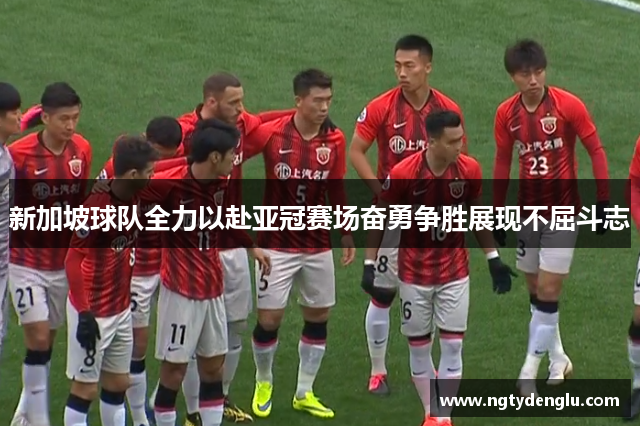 新加坡球队全力以赴亚冠赛场奋勇争胜展现不屈斗志