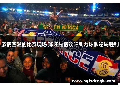 激情四溢的比赛现场 球迷热情欢呼助力球队逆转胜利