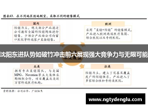 沈阳东进队势如破竹冲击前六展现强大竞争力与无限可能